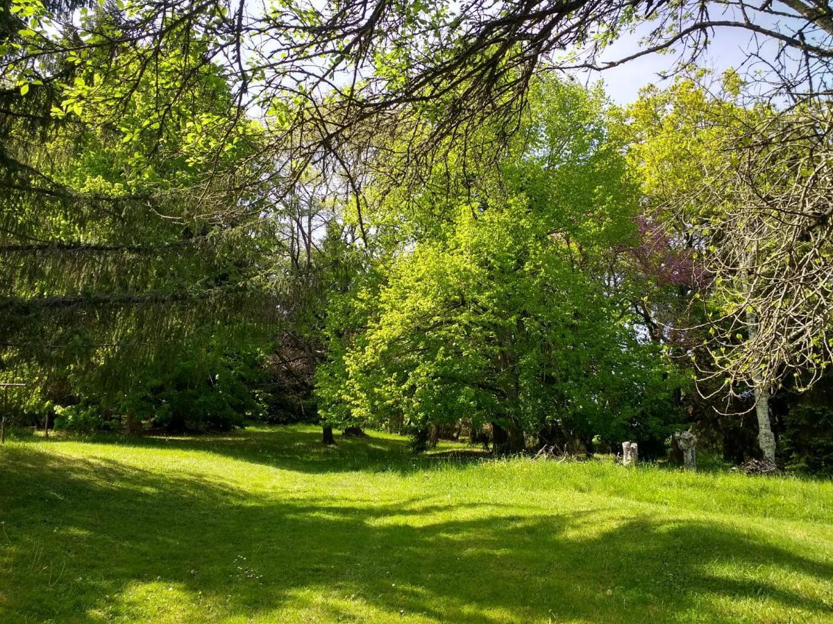 Pyrenees Vue Gite - Vues Fantastique, Parking Gratuit Sur Place & Piscine Saint Gaudens Esterno foto
