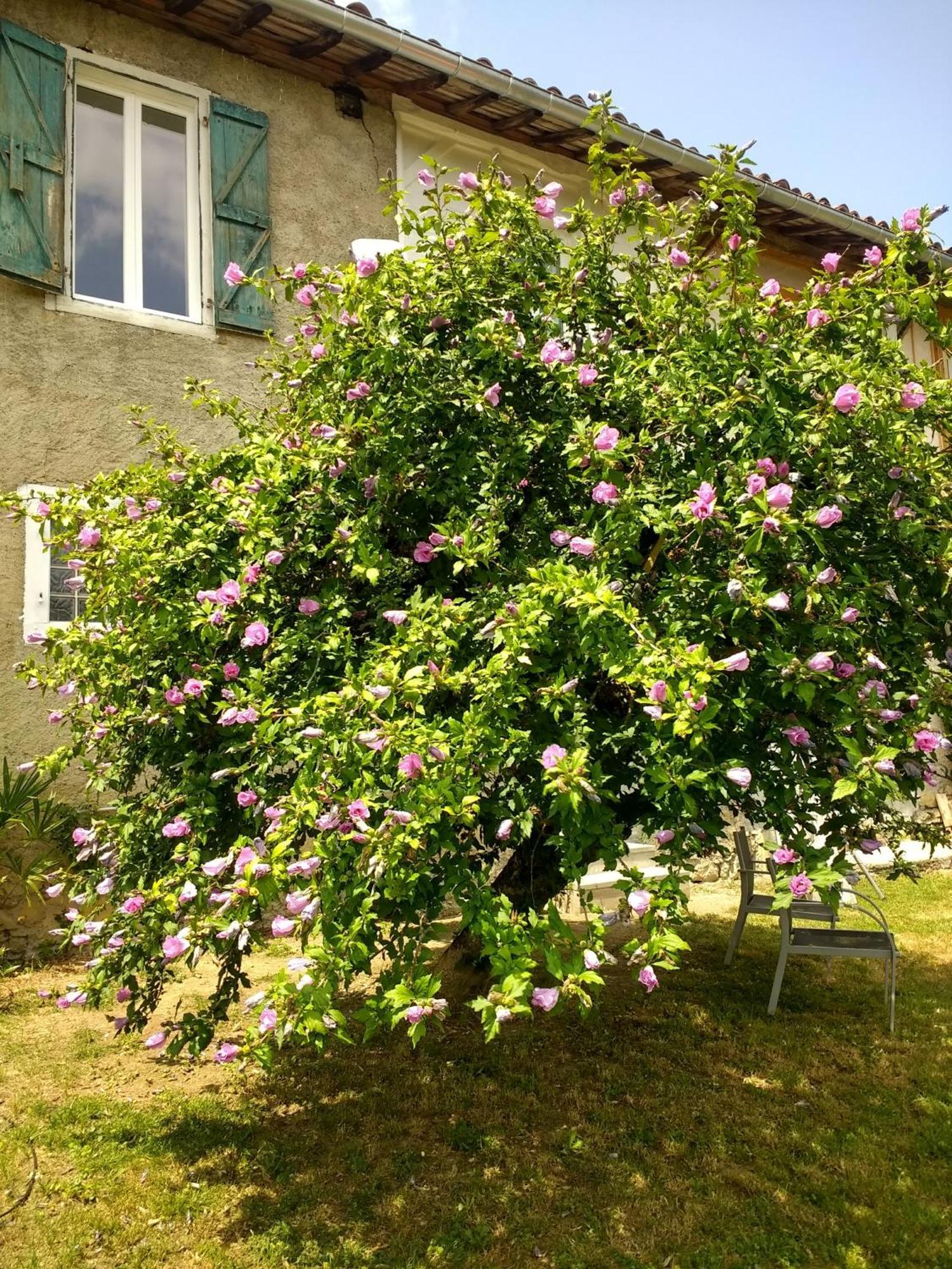 Pyrenees Vue Gite - Vues Fantastique, Parking Gratuit Sur Place & Piscine Saint Gaudens Esterno foto